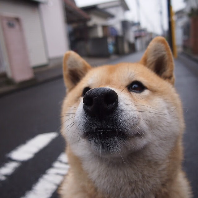 战术换位灵活度高的球队谁最出色，战术换弹是什么意思