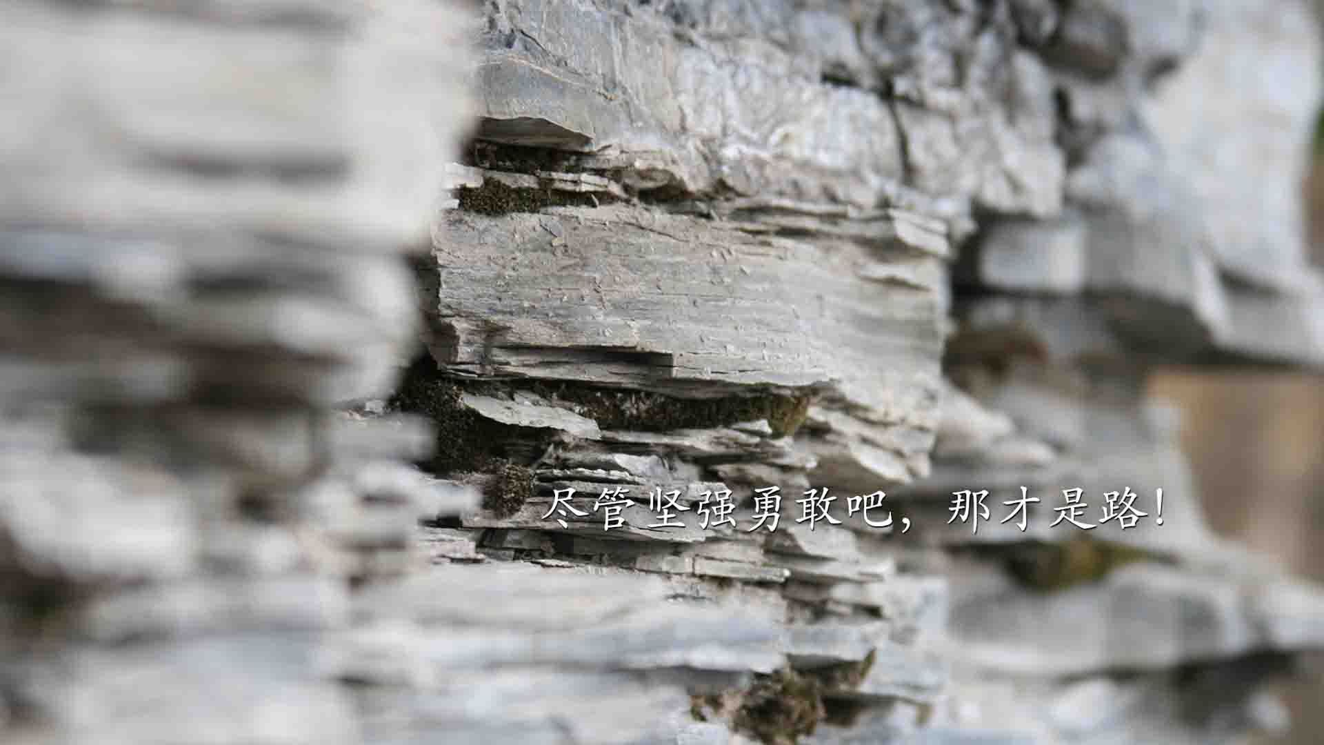 “胡利安·门德斯：阿根廷美洲狮队的前场尖兵，未来值得期待”