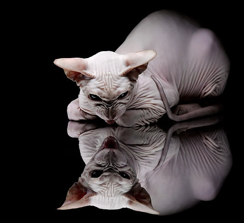 中国篮球推动比赛数据多维可视化辅助战略决策，篮球大数据预测