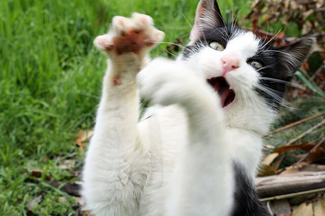 勇士加强篮板争抢减少对手二次机会，勇士队打法