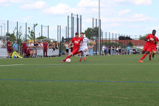 开云·体育官网-未来足球运动场将实现环保材料全覆盖，绿色发展理念深入人心，室外足球场的运营方案