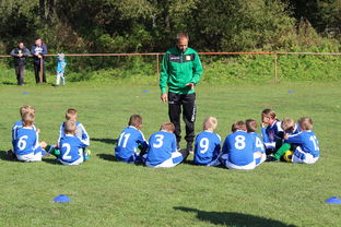 中国篮球教练员团队协作能力培养与管理实践，篮球教练员在团队中扮演了哪些角色